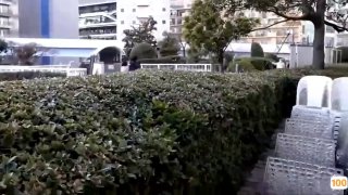 a亚洲v天堂亚洲va久久 - HD天堂在线